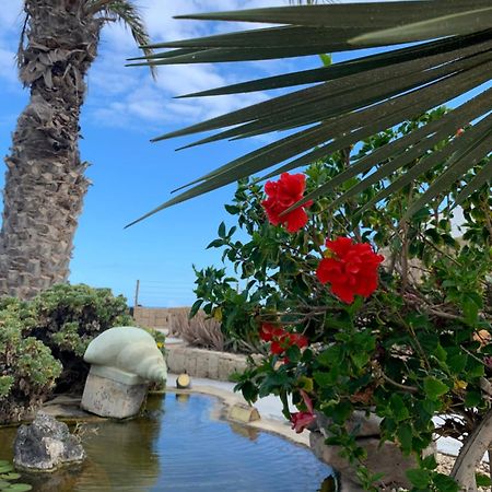 Little Paradise In El Medano 2 Granadilla De Abona Eksteriør bilde